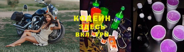 не бодяженный Иннополис