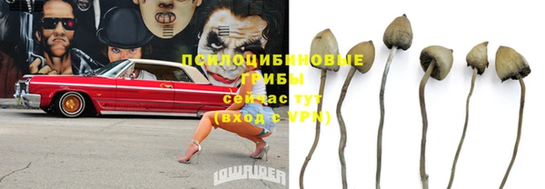 не бодяженный Иннополис