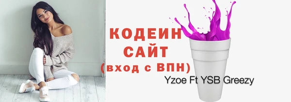 не бодяженный Иннополис