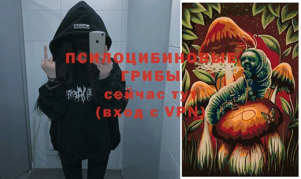 бутират Инта