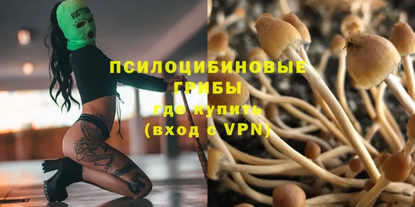 бутират Инта