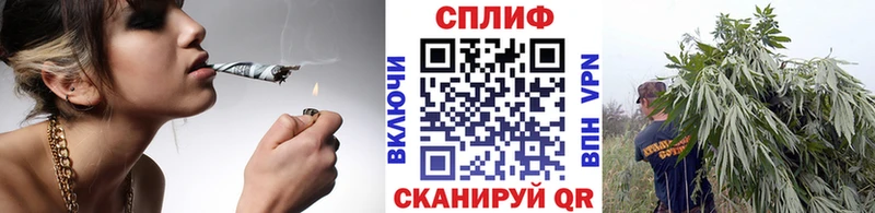 Купить где  Новопавловск  Каннабис планчик 